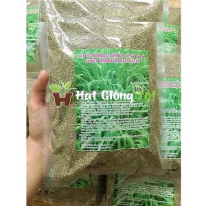Cỏ Sả Lá Lớn - Mombasa Ghine (1kg)