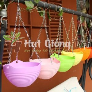 Chậu Treo Trồng Hoa Móc Sắt