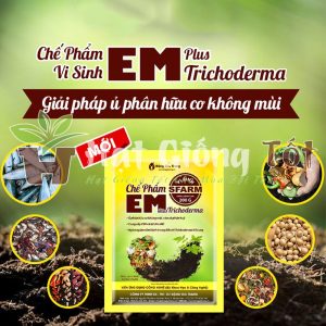 Chế Phẩm Em Vi Sinh Không Mùi