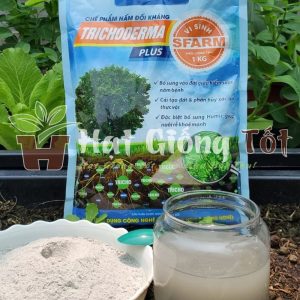 Chế Phẩm Nấm Đối Kháng Trichoderma