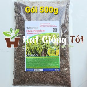 Cỏ Chịu Ngập Ubon Paspalum (1kg)