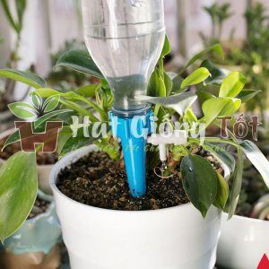 Đầu Tưới Nhỏ Giọt Tự Động Gắn Chai Nước