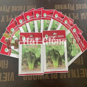 Cải ngọt khổng lồ có thể trồng quang năm đem lại bữa an dinh dưỡng tốt