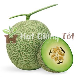 Hạt Giống Dưa Lưới F1