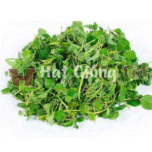 giới thiệu về rau dền cơm và cách gieo trồng.