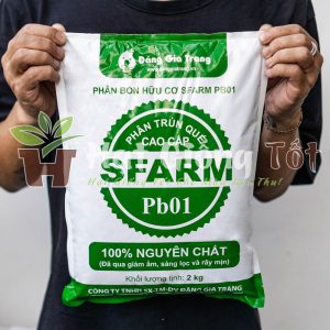 Phân Trùn Quế Đặng Gia Trang