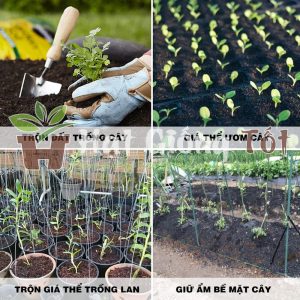 Trấu Hun Nguyên Hạt