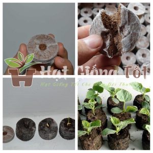 Viên Nén Kích Nảy Mầm