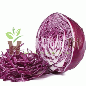 hạt giống bắp cải đỏ f1 red star cho món ăn thêm độc đáo