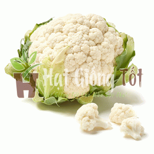 gieo Hạt giống Bông Cải Trắng F1 SV 999 cho năng suất cao