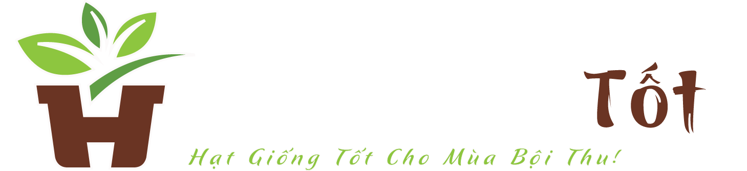 Hạt Giống Tốt Nhất Việt Nam